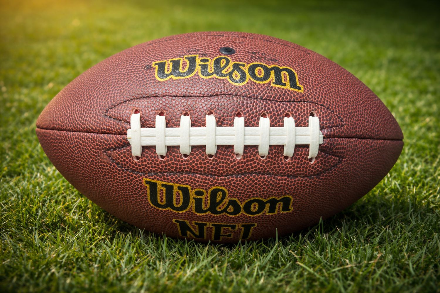 كرة قدم أمريكية Wilson  ✓