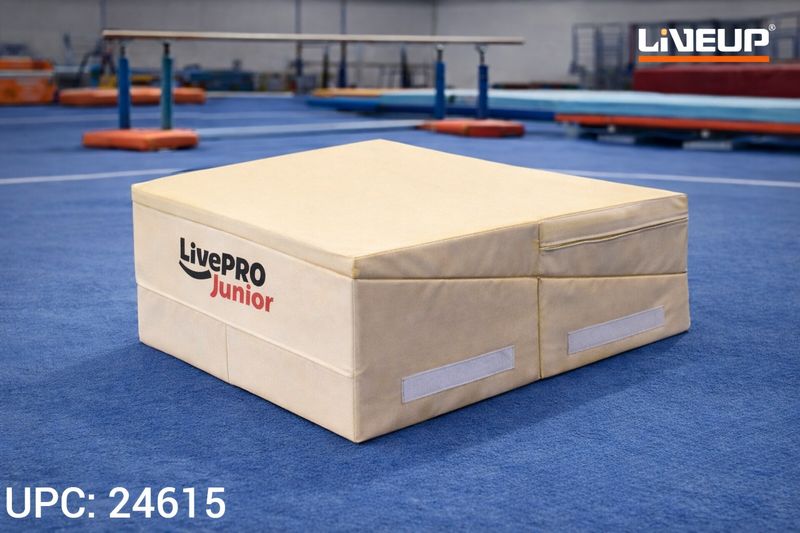 وسادة جمباز مائلة قابلة للطي  LIVE UP  ✓