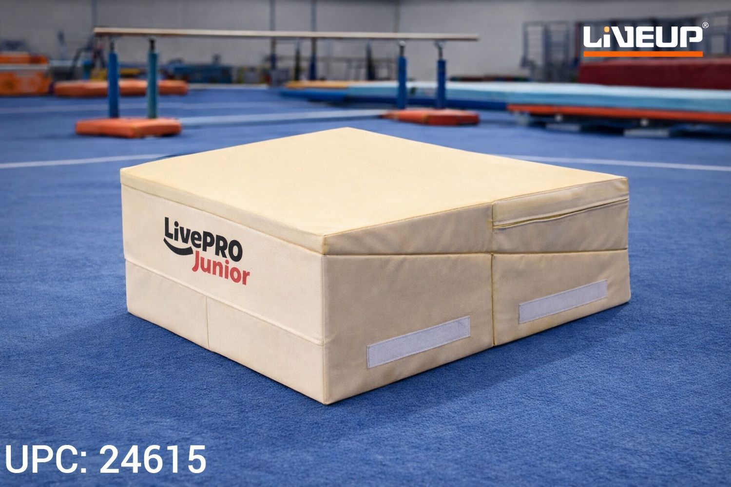 وسادة جمباز مائلة قابلة للطي  LIVE UP  ✓