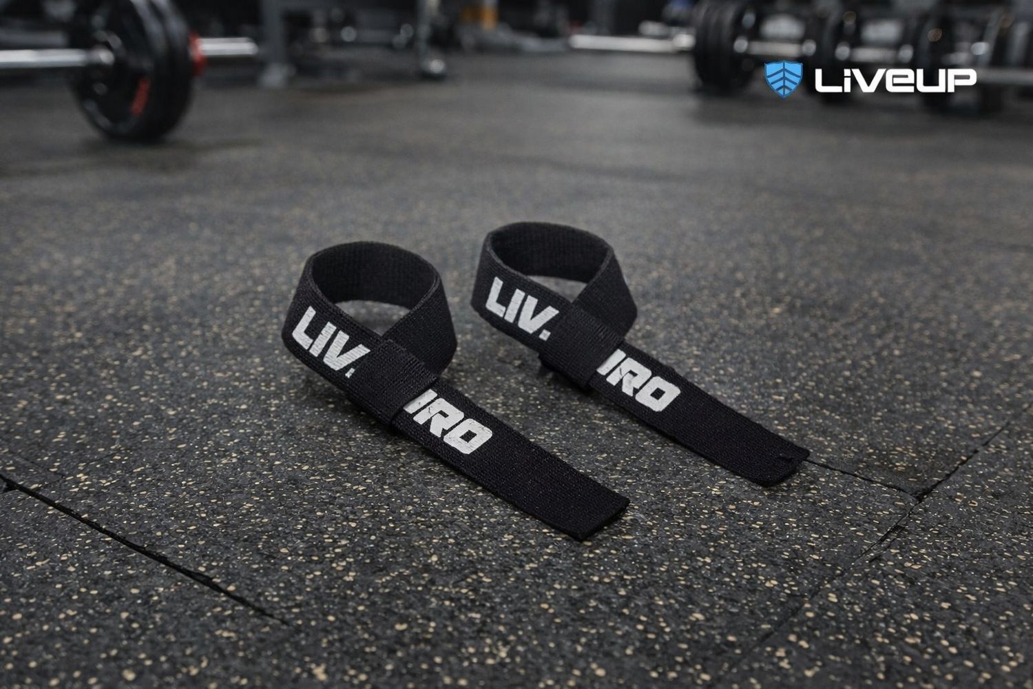 مربط يد - LIVE UP