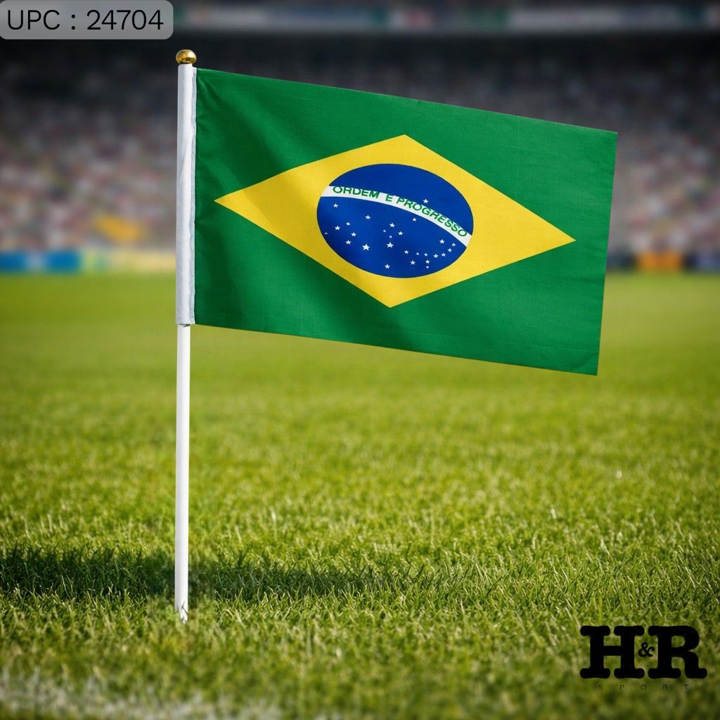 علم برازيل 20*28 CM ✓