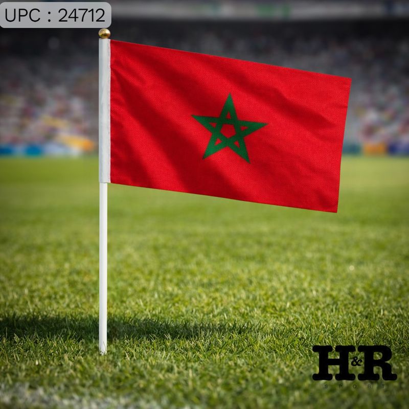 علم المغرب 28*20 CM ✓