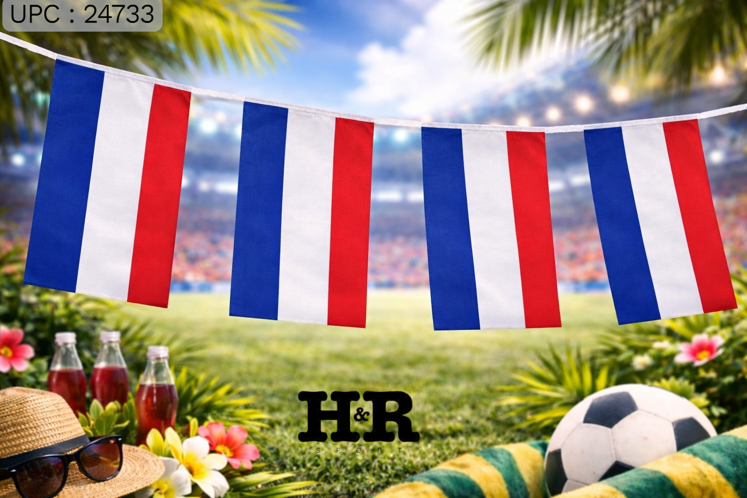 راية بعلم فرنسا ✓