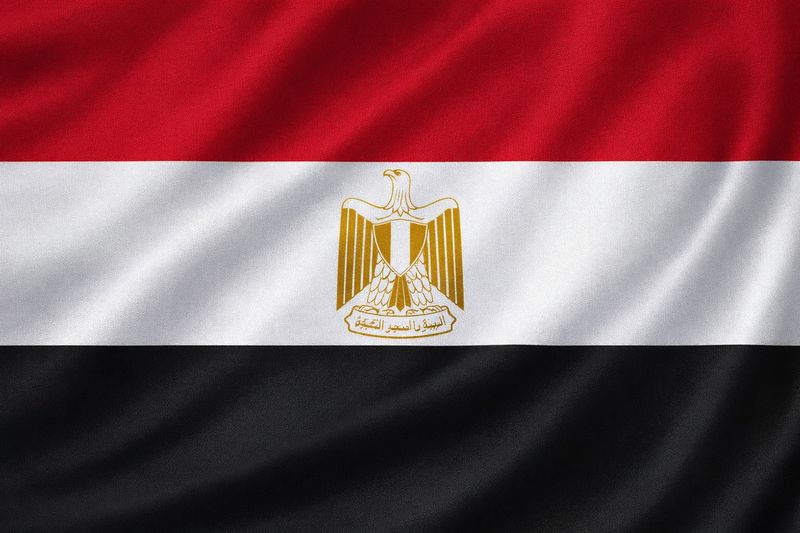 علم مصر ✓