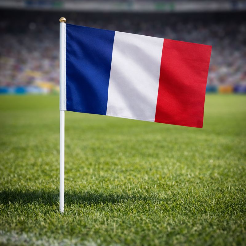 علم فرنسا 90*60 CM ✓