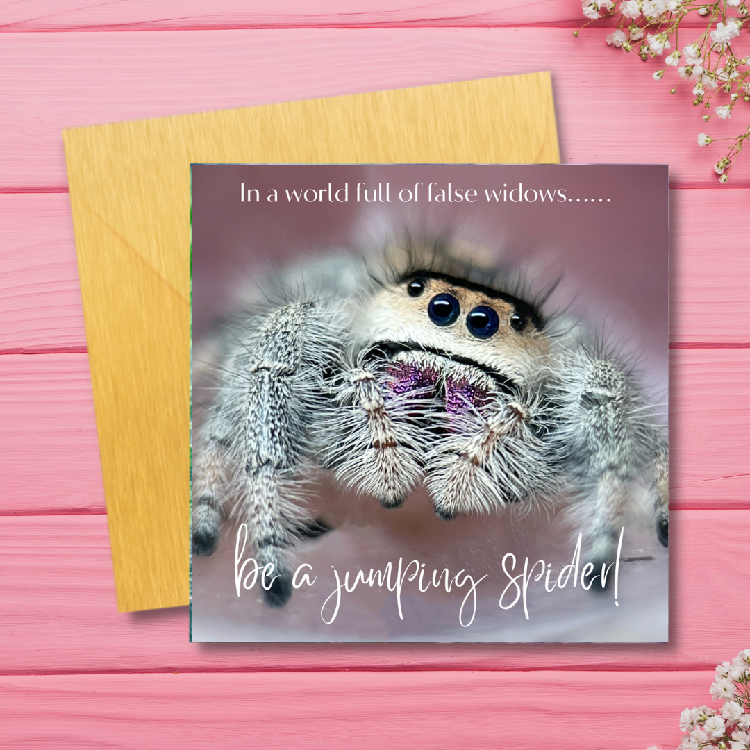 Jumping Spider Greeting Card