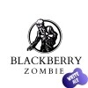 Catawba Blackberry Zombie 6pk