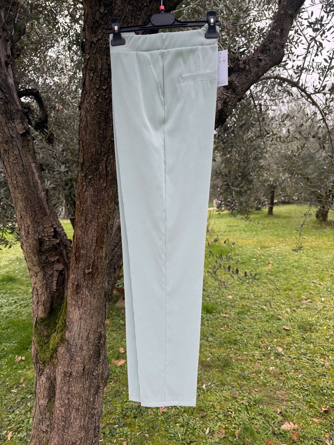 Panta Righine