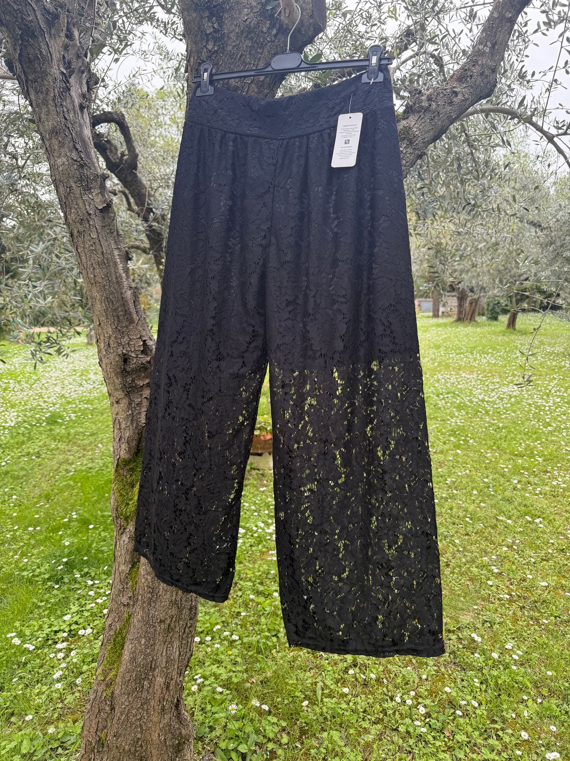Panta Pizzo