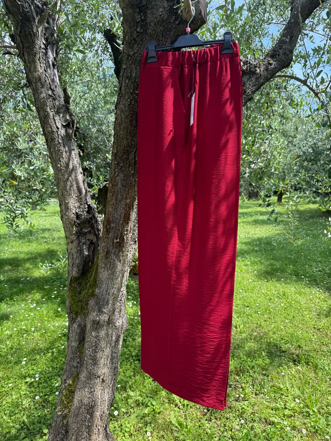 Panta Roland