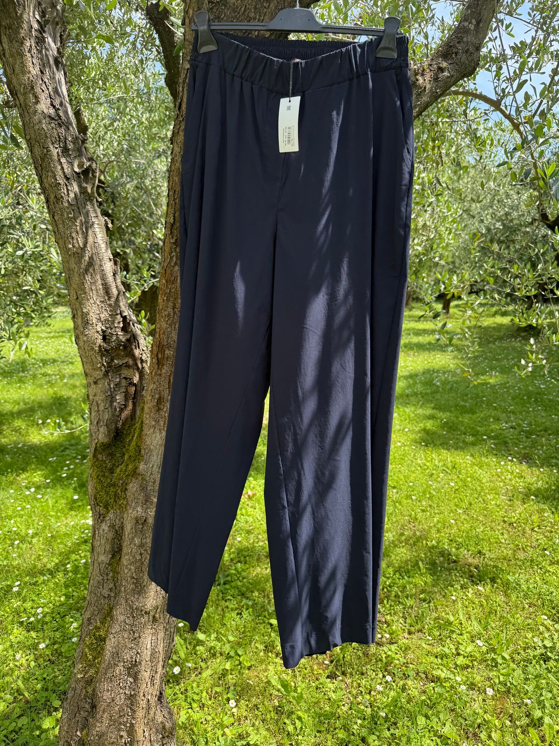 Pantalone Harry