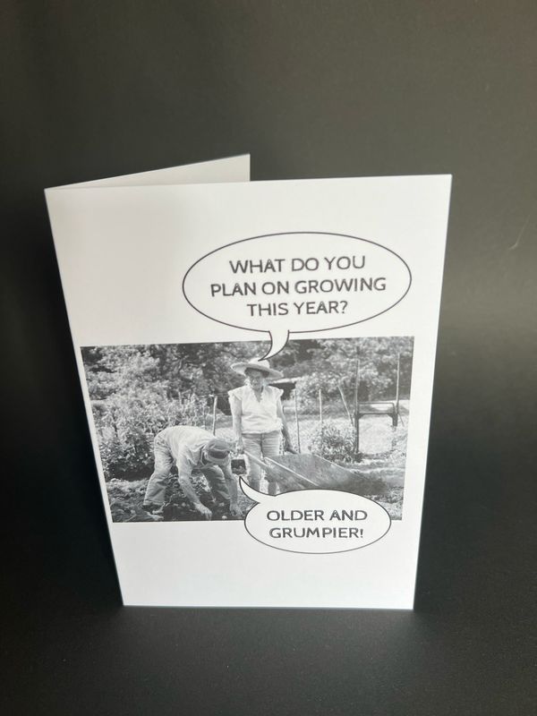 Cheeky Card 008
