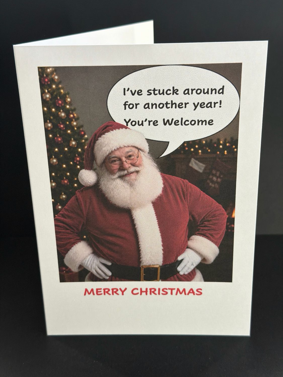 X13 Xmas Cheeky Card