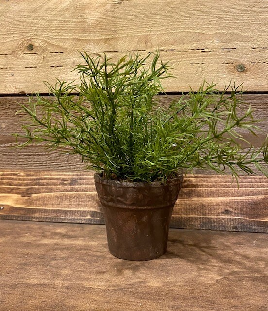 Potted Plant 1