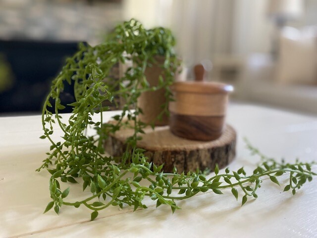 Wood Slice Small