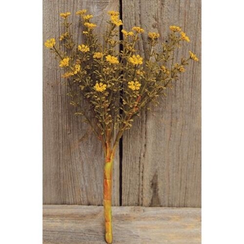 Mustard Astilbe Stem