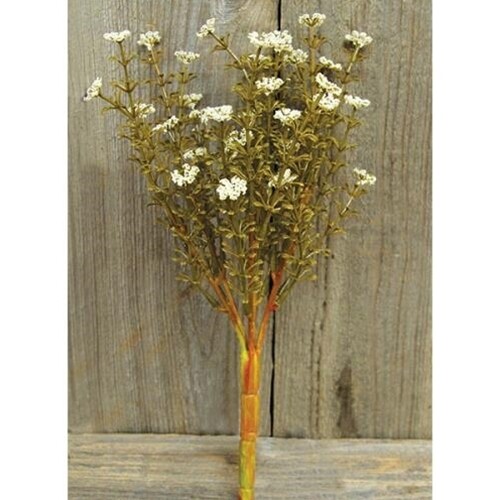 Cream Astilbe Stem