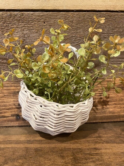 Mini Hanging Basket