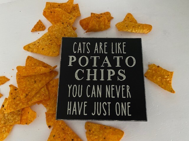 Cats Are Like Potato Chips