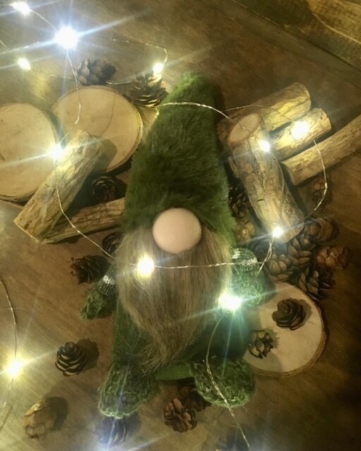Oliver the Gnome