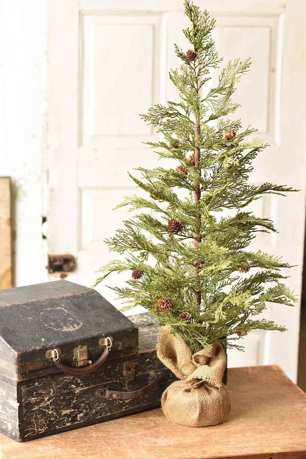 Hemlock 36&quot;