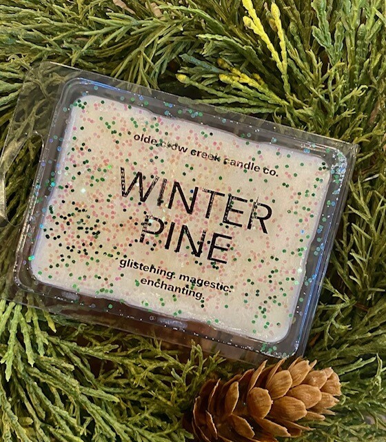Winter Pine