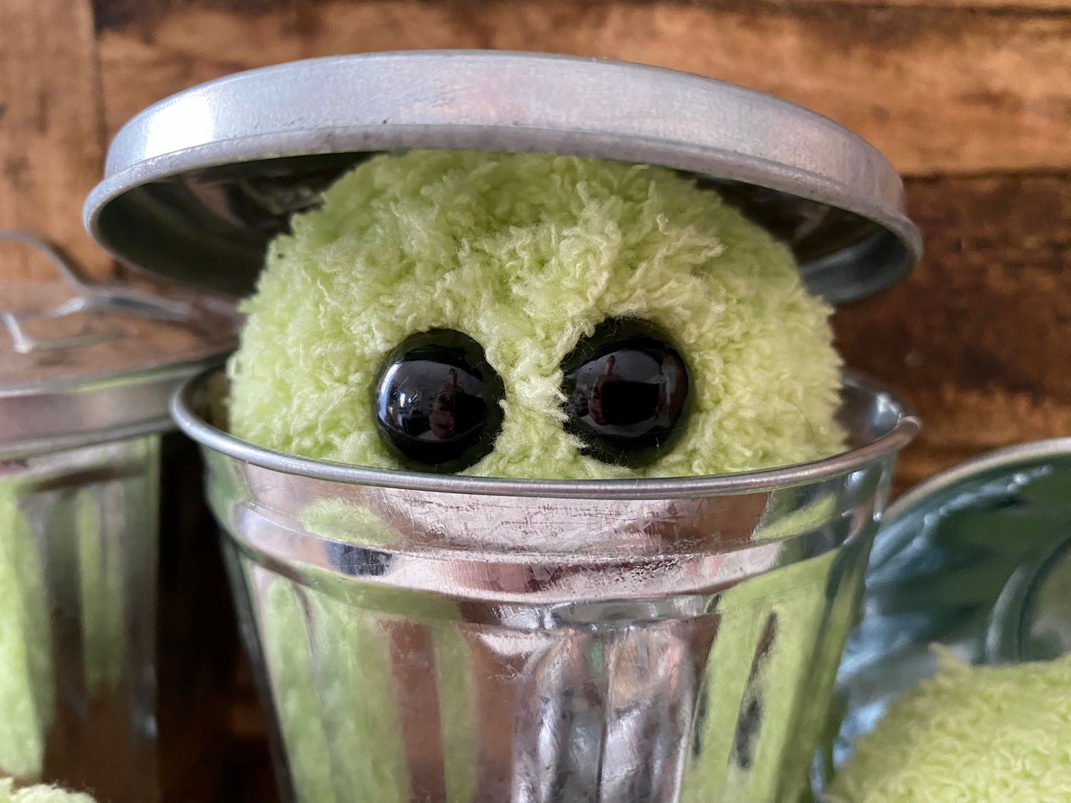 Oscar Green Trash Can Niff
