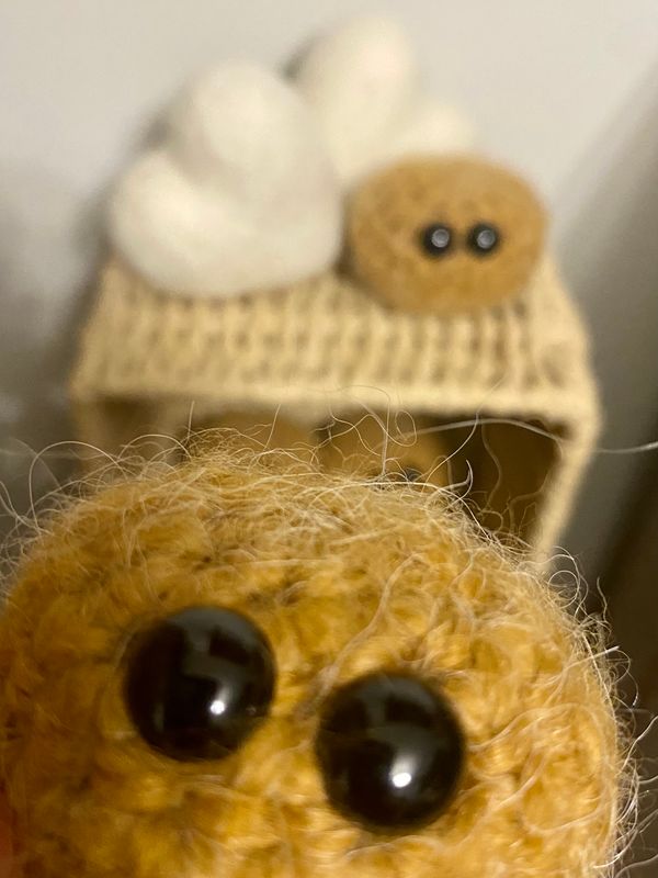 Knit Niff: Spiced Apple