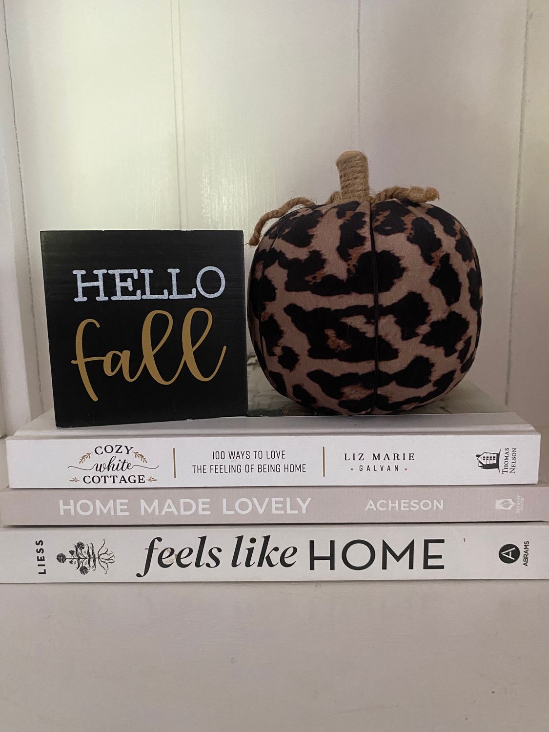 Leopard Print Pumpkin &amp; Sign Set