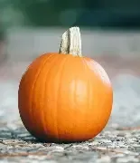 IT&#39;S ALL ABOUT THE MINI