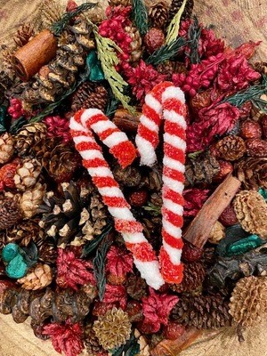 CHRISTMAS &amp; WINTER
