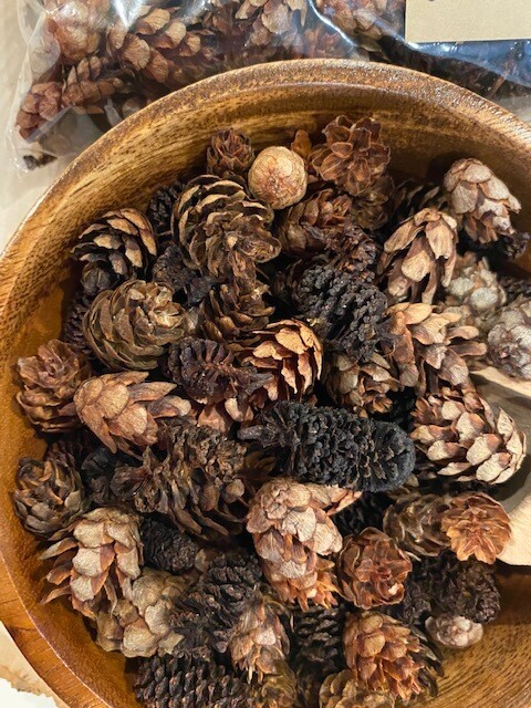 Mini Pinecones: Scented Pine