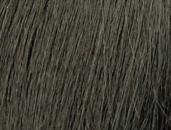 Saga Gold Remy Yaky 10" Color: 2
