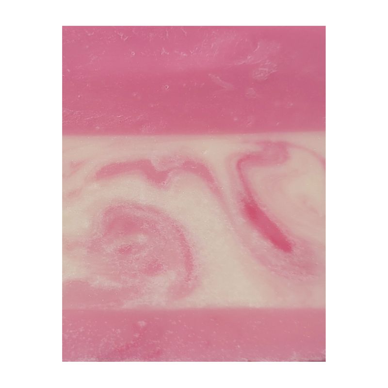 sambucus soap bar mini