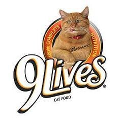 9Lives - Morris the Cat