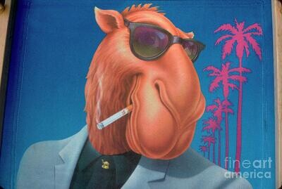 Joe Camel - Camel Cigarettes