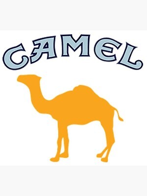 Camel Cigraettes