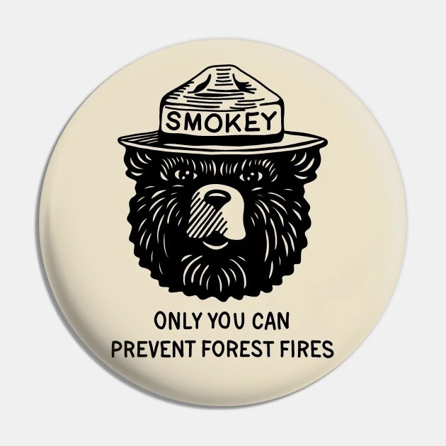2 1/4&quot;D Smokey the Bear Pinback Button