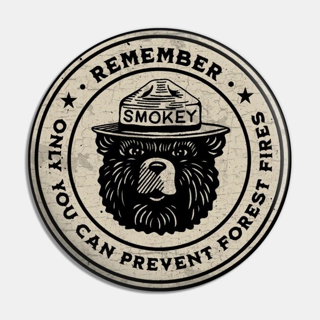2 1/4&quot;D Smokey the Bear Pinback Button