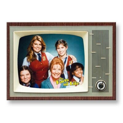Facts of Life Large Metal TV Magnet