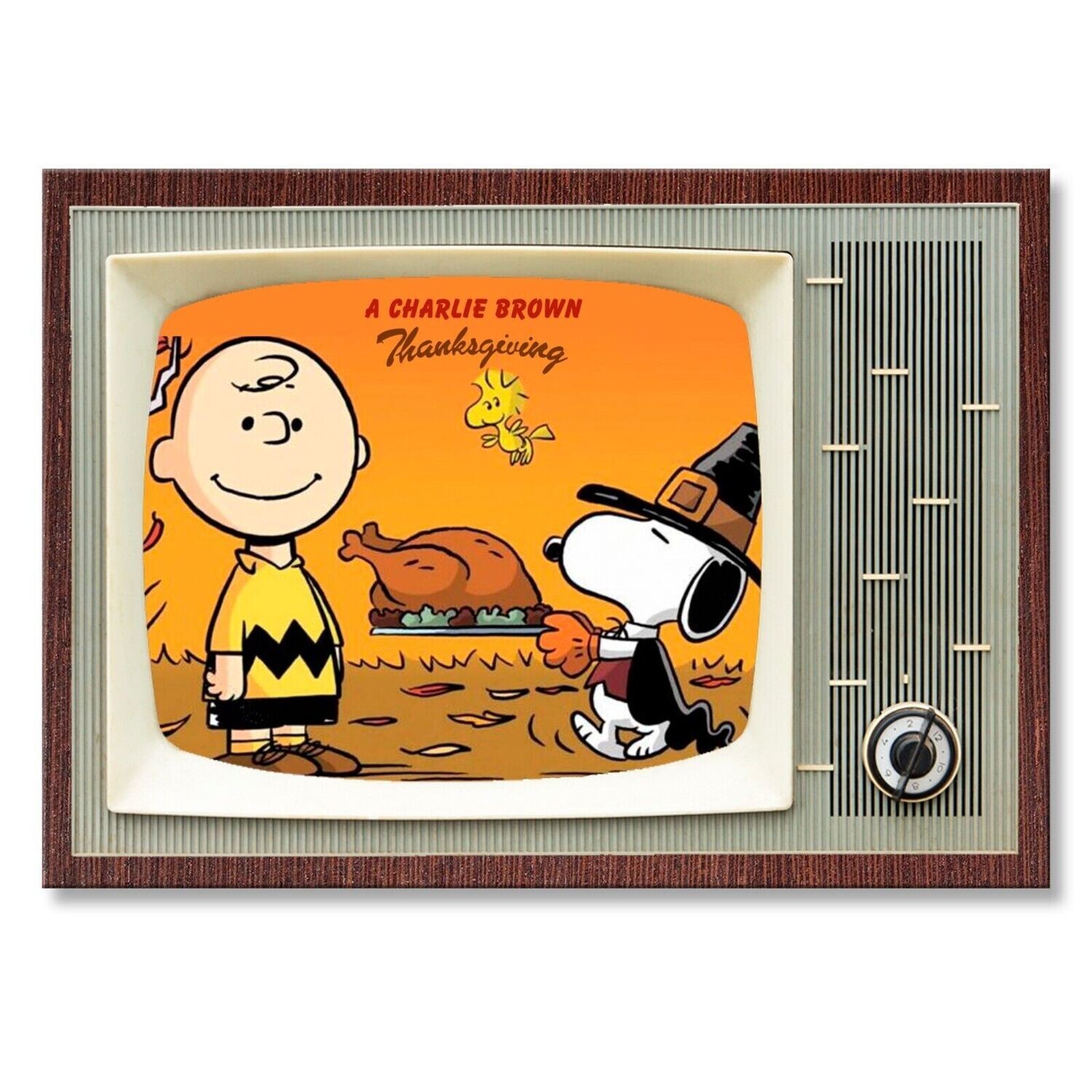 Peanuts - A Charlie Brown Thanksgiving Large Metal TV Magnet