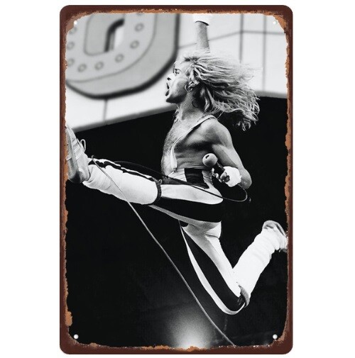 Van Halen - David Lee Roth Metal Sign 7 3/4&quot;W x 11 3/4&quot;H
