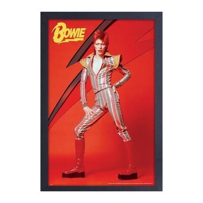 David Bowie Gel Coated Canvas Print