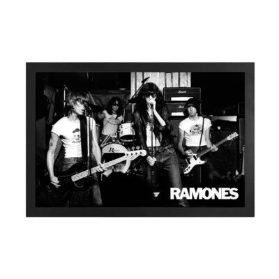 Ramones Live Gel Coated Canvas Print