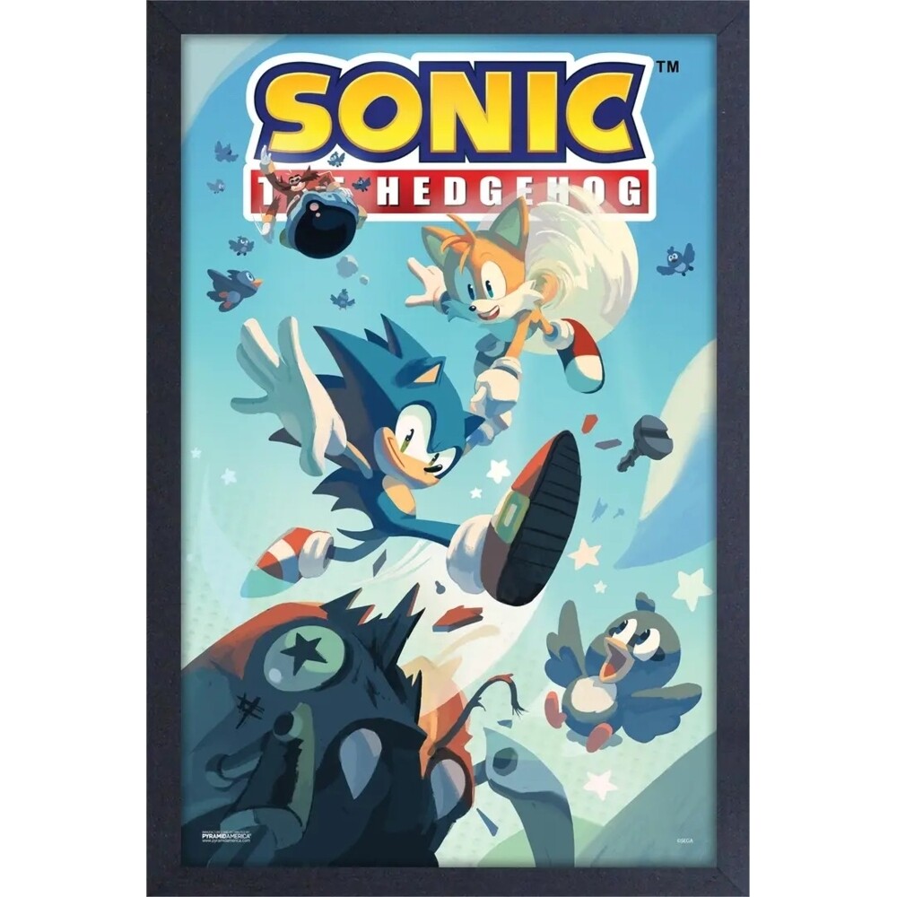 Sonic The Hedgehog Gel Coated Canvas Print