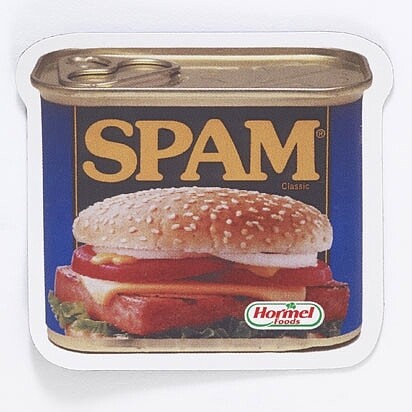 SPAM Vinyl Magnet