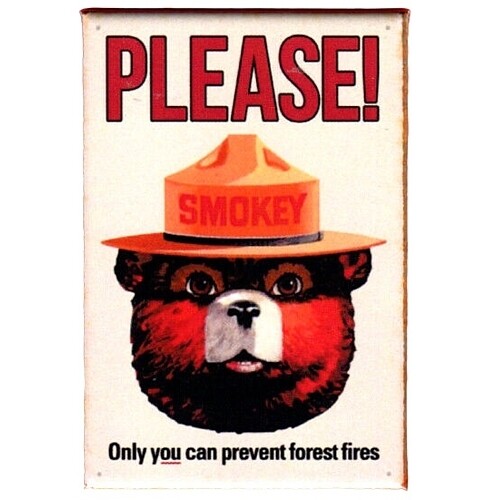 Smokey Bear PLEASE!  Fridge Magnet