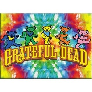 Grateful Dead Tie Dye Dancing Bears LARGE Magnet