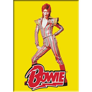 David Bowie Ziggy Stardust LARGE Magnet