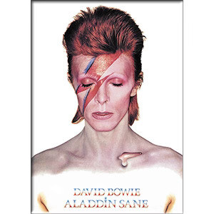 David Bowie 'Aladdin Sane' LARGE Magnet